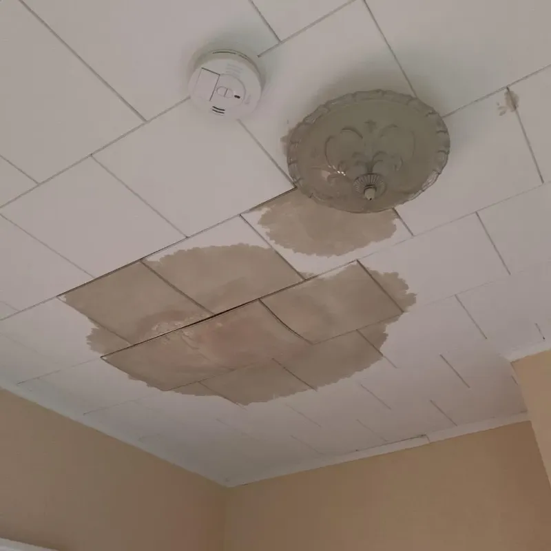 Ceiling Water Damage Repair in Massena, NY
