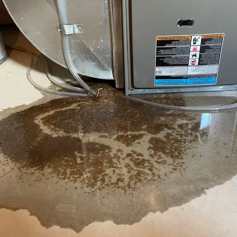 Pipe Burst and Leak Restoration in Massena, NY